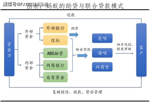 螞蟻集團(tuán)發(fā)展歷程 股權(quán)架構(gòu) 財(cái)務(wù)表現(xiàn) 業(yè)務(wù)版圖 運(yùn)營模式 海外布局