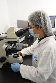 萊茵技術(shù)商檢青島食品實(shí)驗(yàn)室 技術(shù)創(chuàng)新與交流的視覺之旅